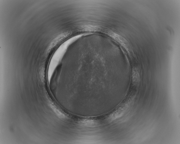 X0000111380581200908071236