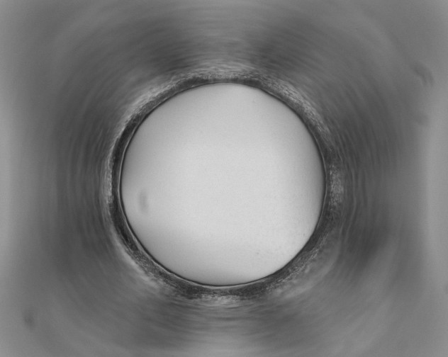 X0000111380582200908071236