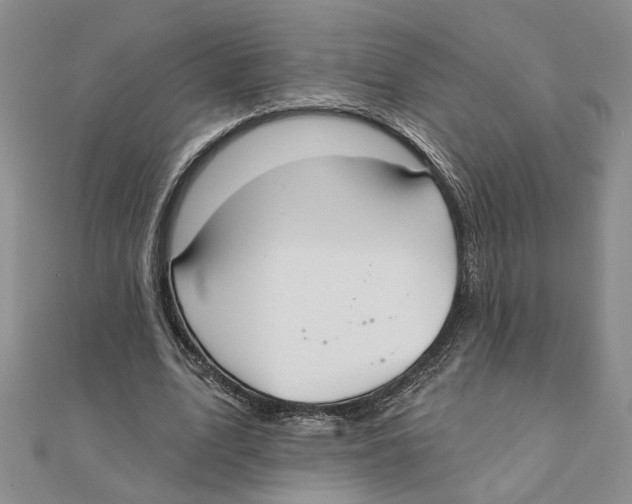 X0000111380583200908071236