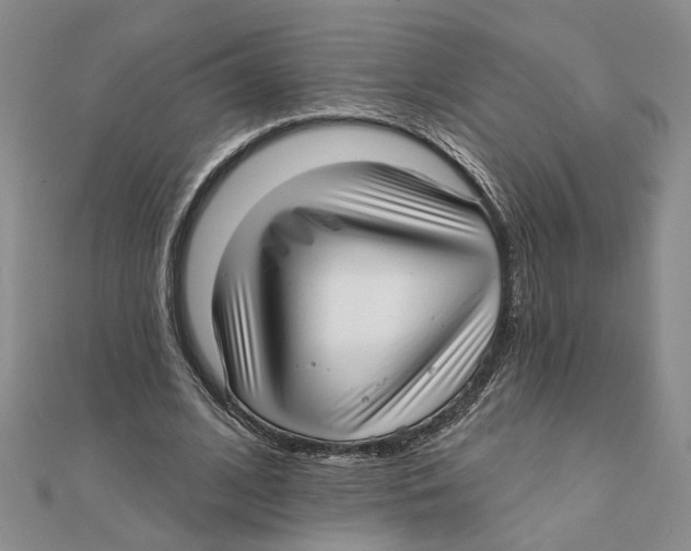 X0000111380584200908071236