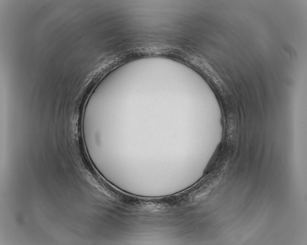 X0000111380585200908071236