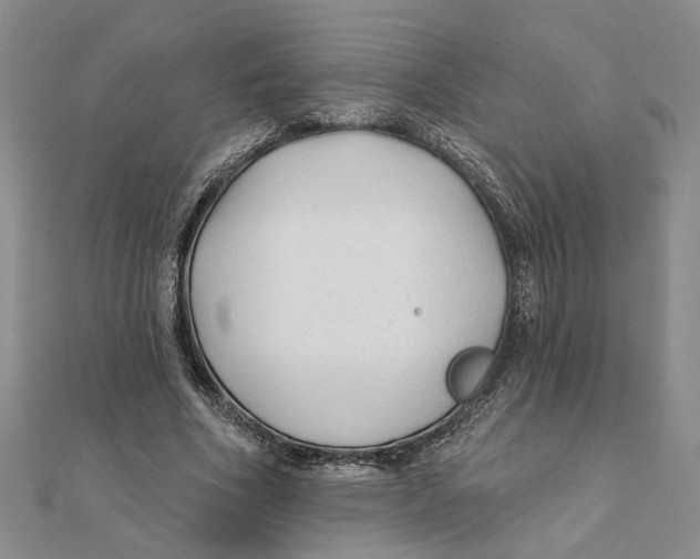 X0000111380586200908071236