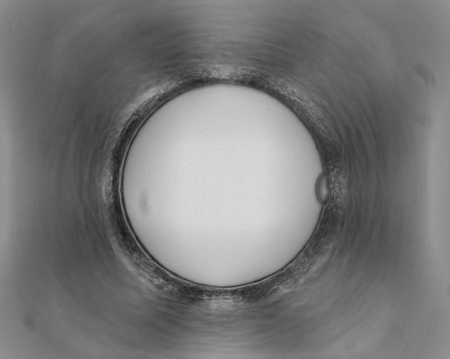 X0000111380587200908071236