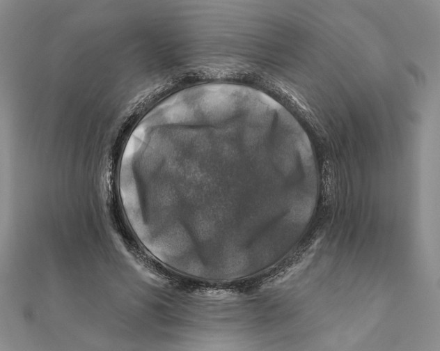 X0000111380590200908071236