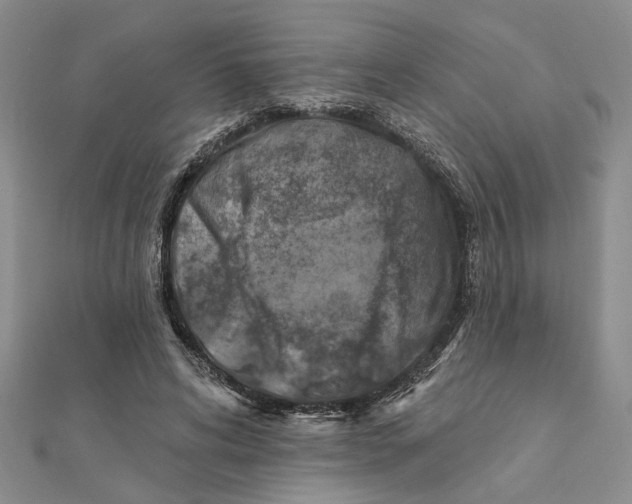 X0000111380592200908071236