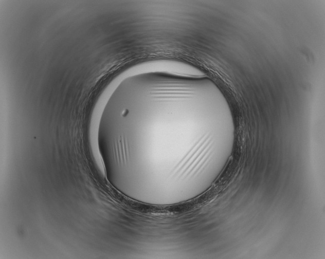 X0000111380595200908071236