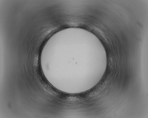 X0000111380596200908071236