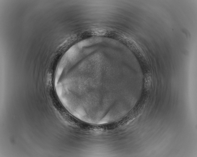 X0000111380598200908071236