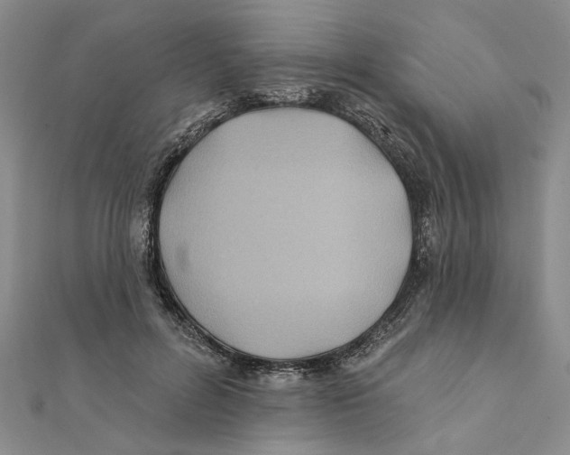 X0000111380600200908071236