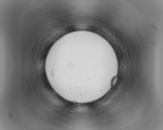 X0000111380601200908071236