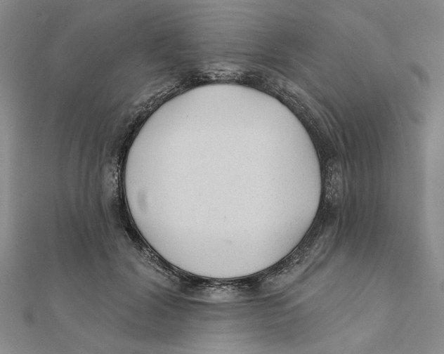 X0000111380604200908071236