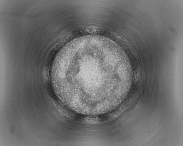 X0000111380606200908071236