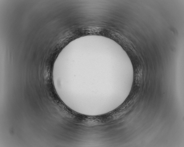 X0000111380608200908071236