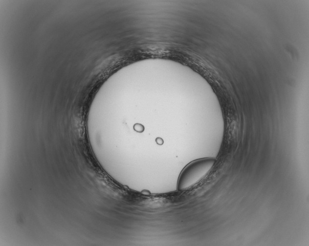 X0000111380609200908071236