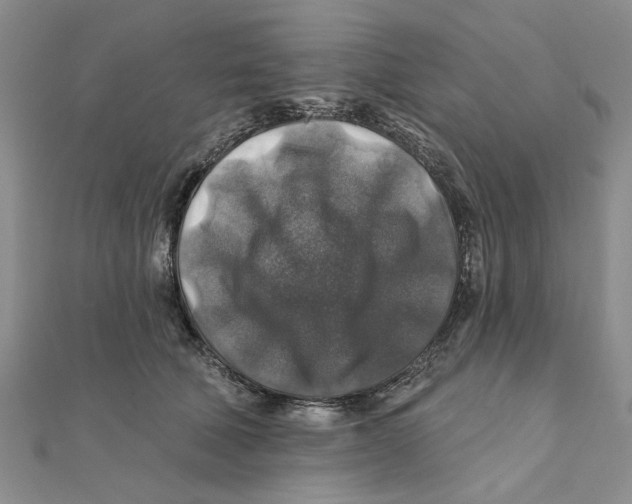 X0000111380610200908071236