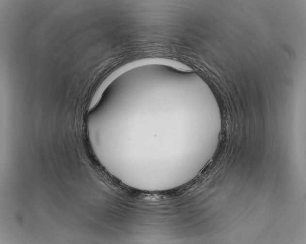 X0000111380611200908071236