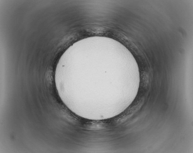 X0000111380612200908071236