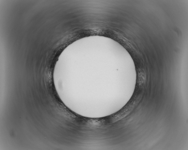 X0000111380613200908071236