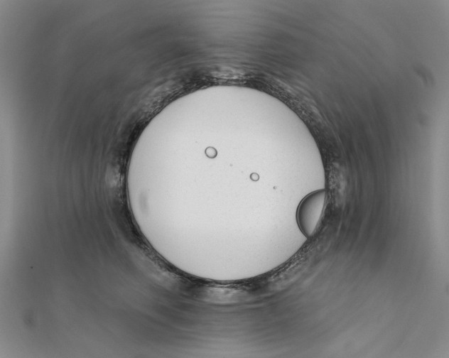 X0000111380614200908071236