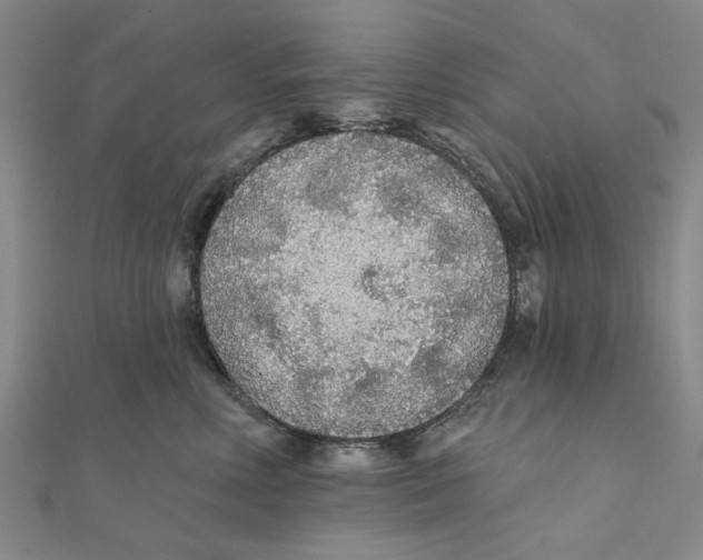 X0000111380618200908071236