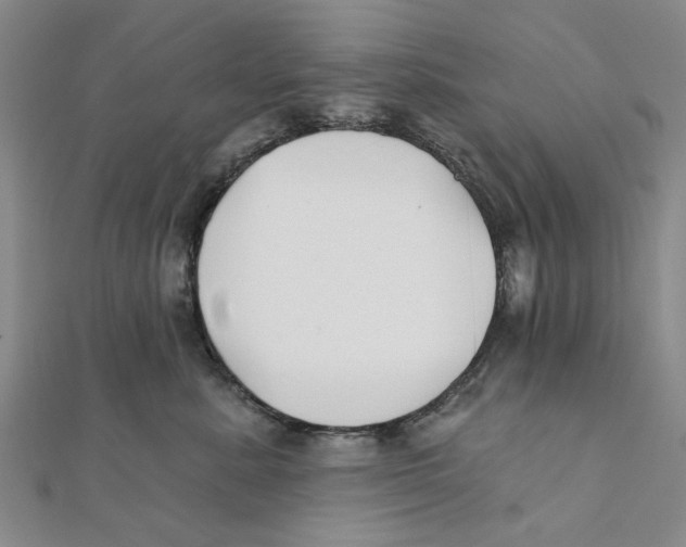 X0000111380619200908071236