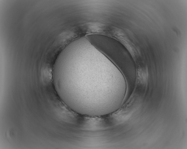 X0000111380621200908071236