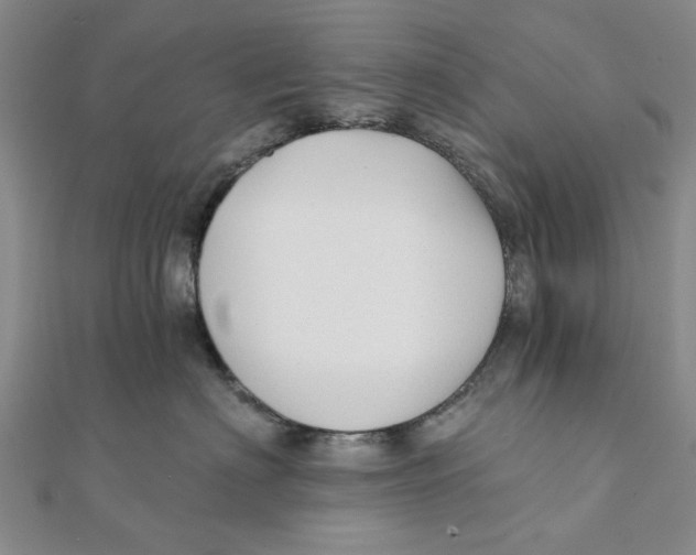 X0000111380622200908071236