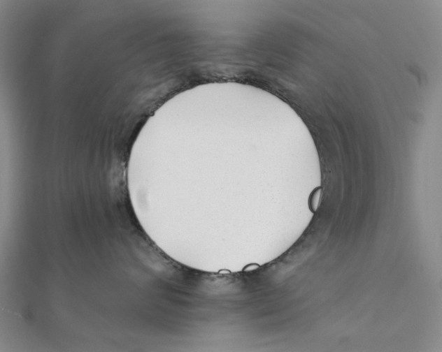 X0000111380624200908071236