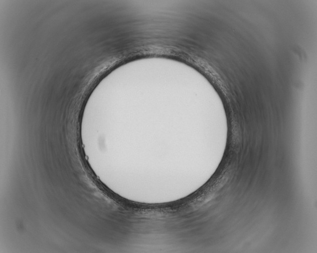 X0000111380625200908071235