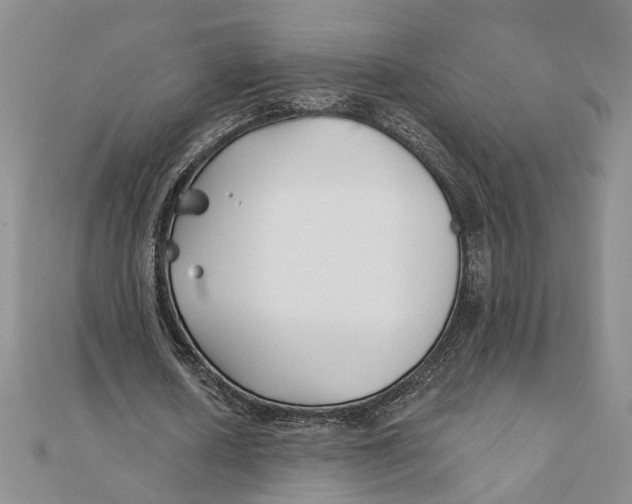 X0000111380626200908071235