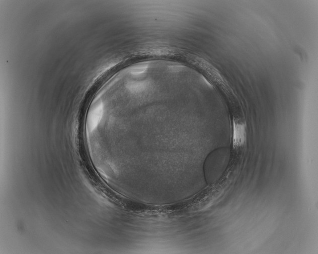 X0000111380627200908071235