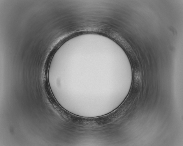 X0000111380628200908071235