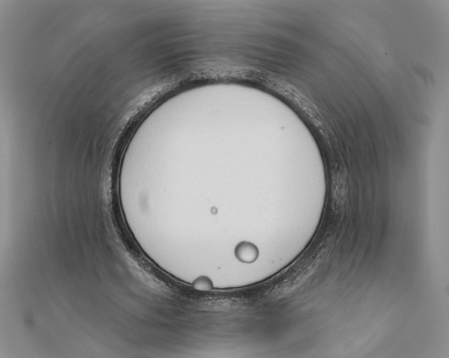 X0000111380629200908071235