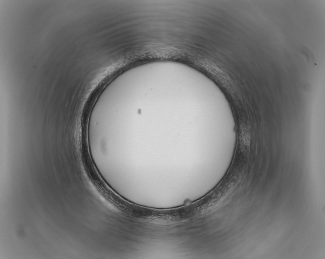 X0000111380630200908071235