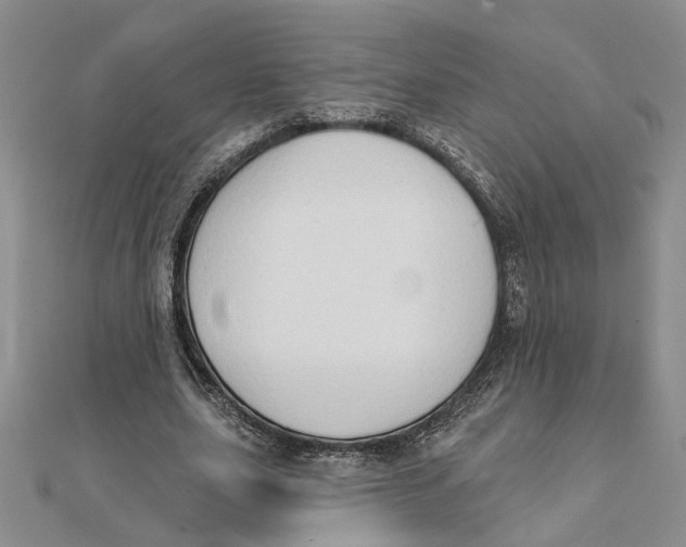 X0000111380631200908071235