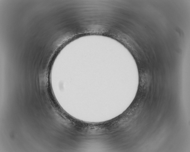 X0000111380632200908071235