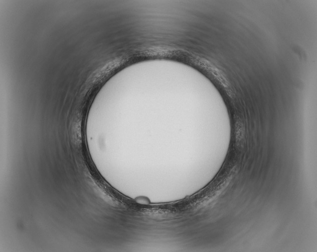 X0000111380633200908071235