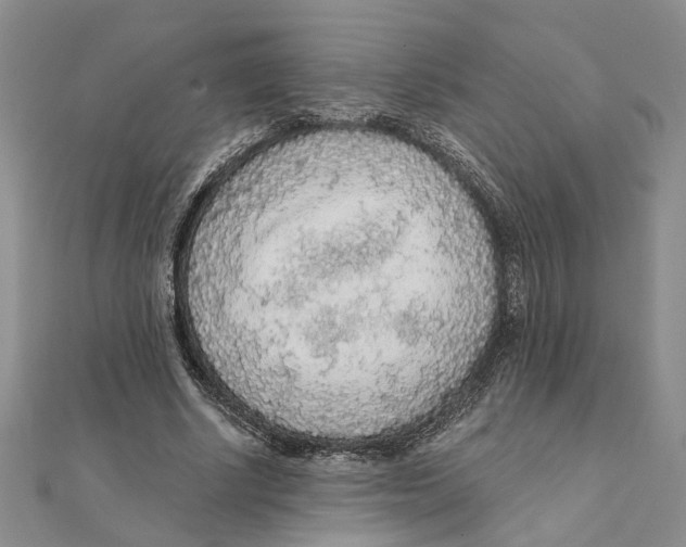 X0000111380634200908071235