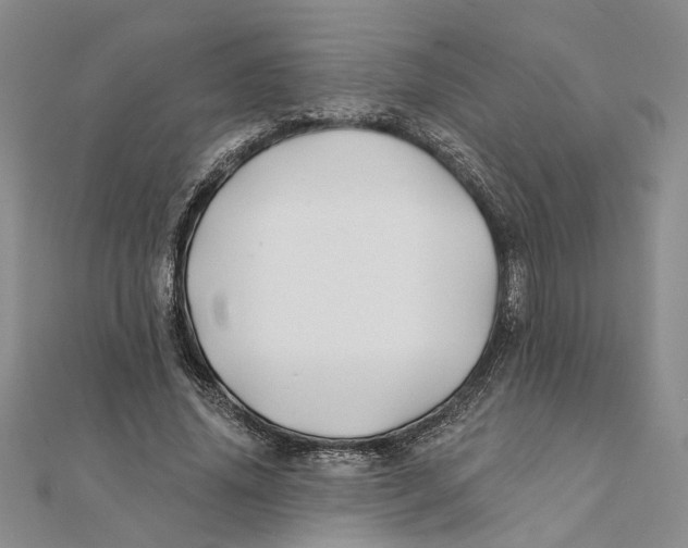 X0000111380636200908071235