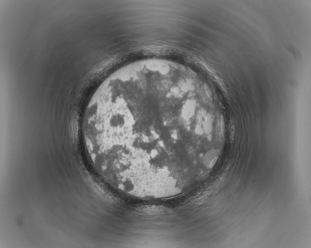 X0000111380637200908071235