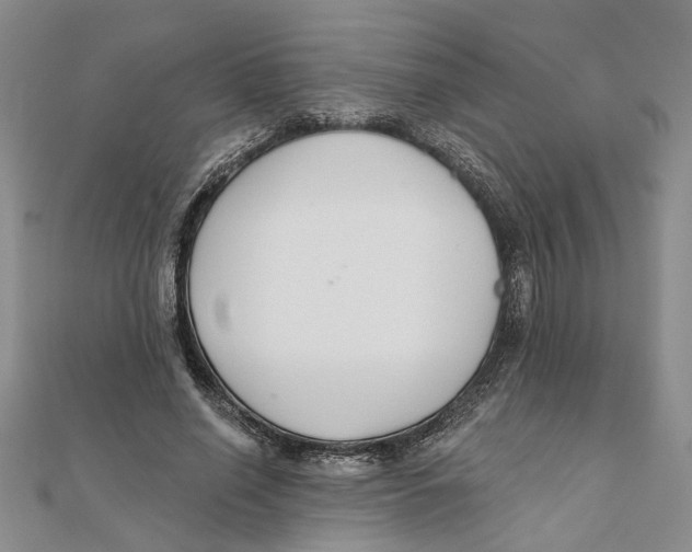 X0000111380638200908071235