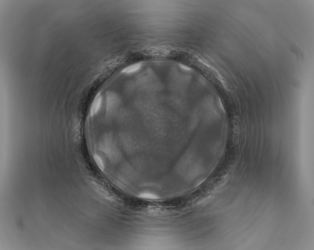 X0000111380641200908071236