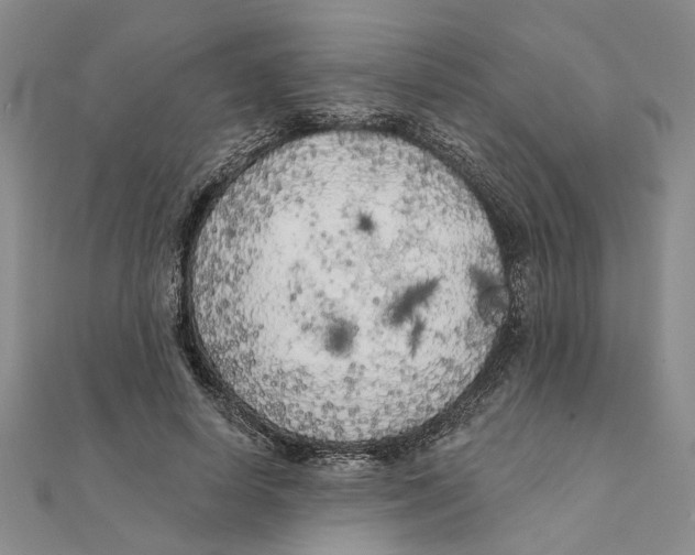 X0000111380642200908071236