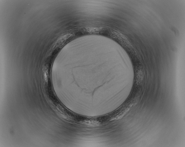 X0000111380644200908071236