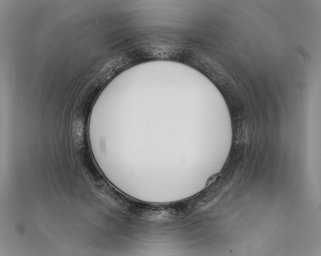 X0000111380646200908071236