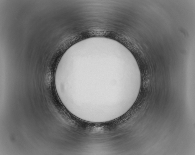 X0000111380647200908071236