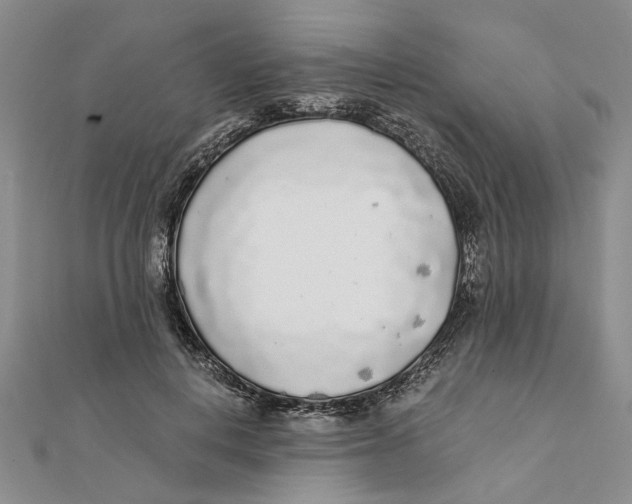 X0000111380648200908071236