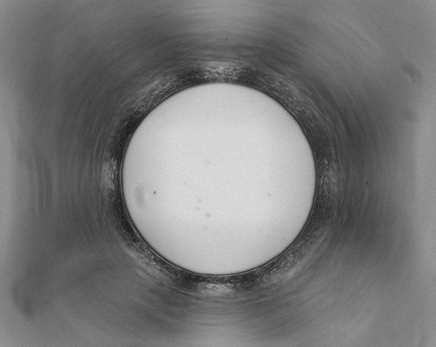 X0000111380649200908071236