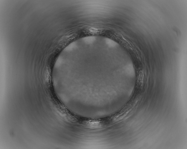 X0000111380651200908071236