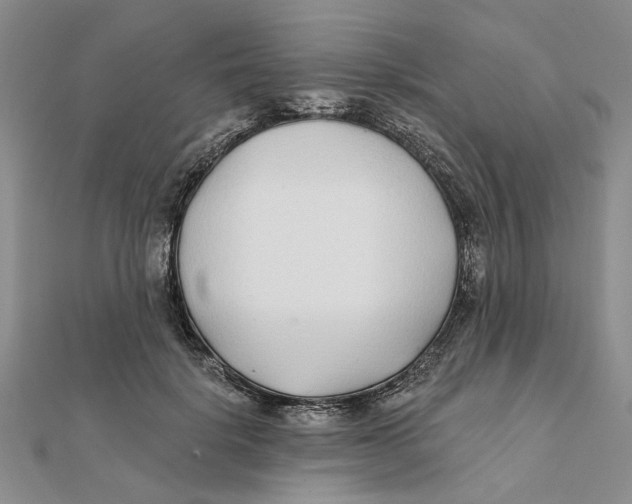 X0000111380652200908071236